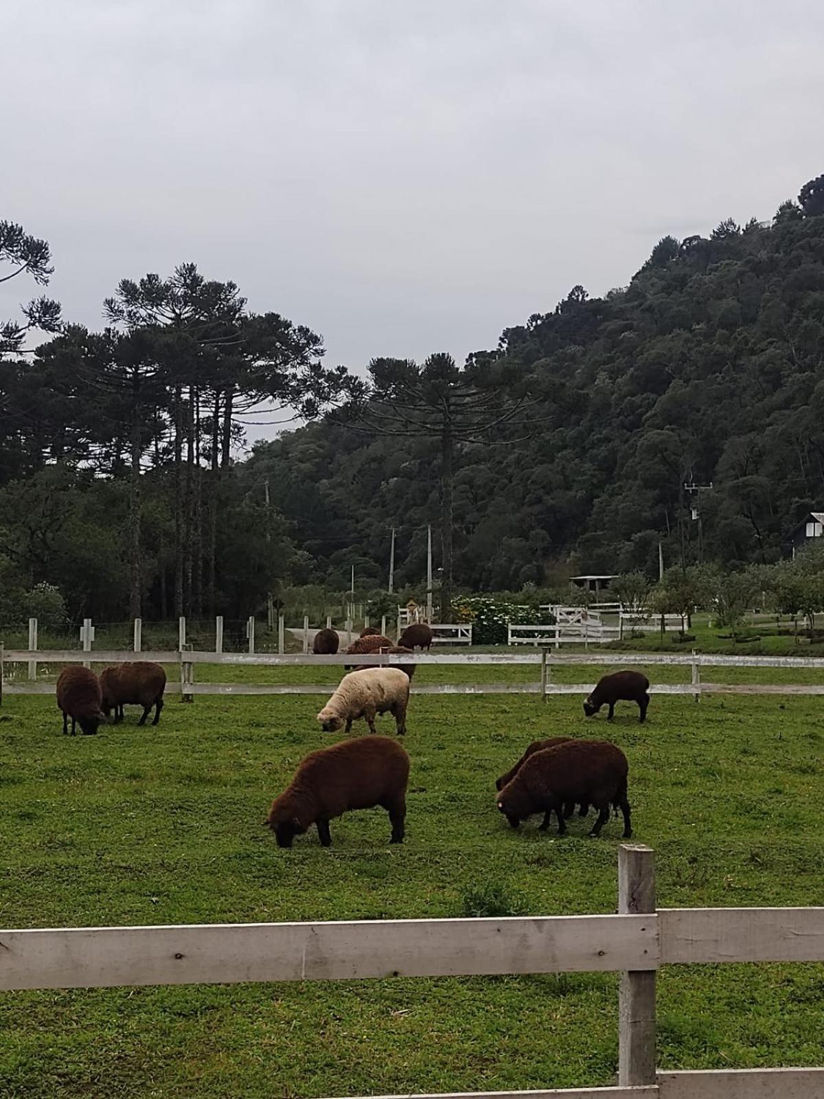 Pousada No De Pinho 우루비시 외부 사진